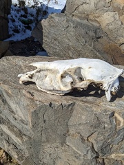 inbound3280095523374790282