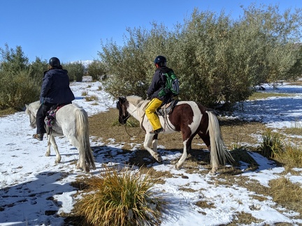 inbound7928993398355211382