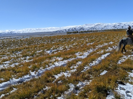 inbound8744984509129145594