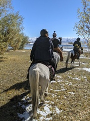 inbound4435229133729724873